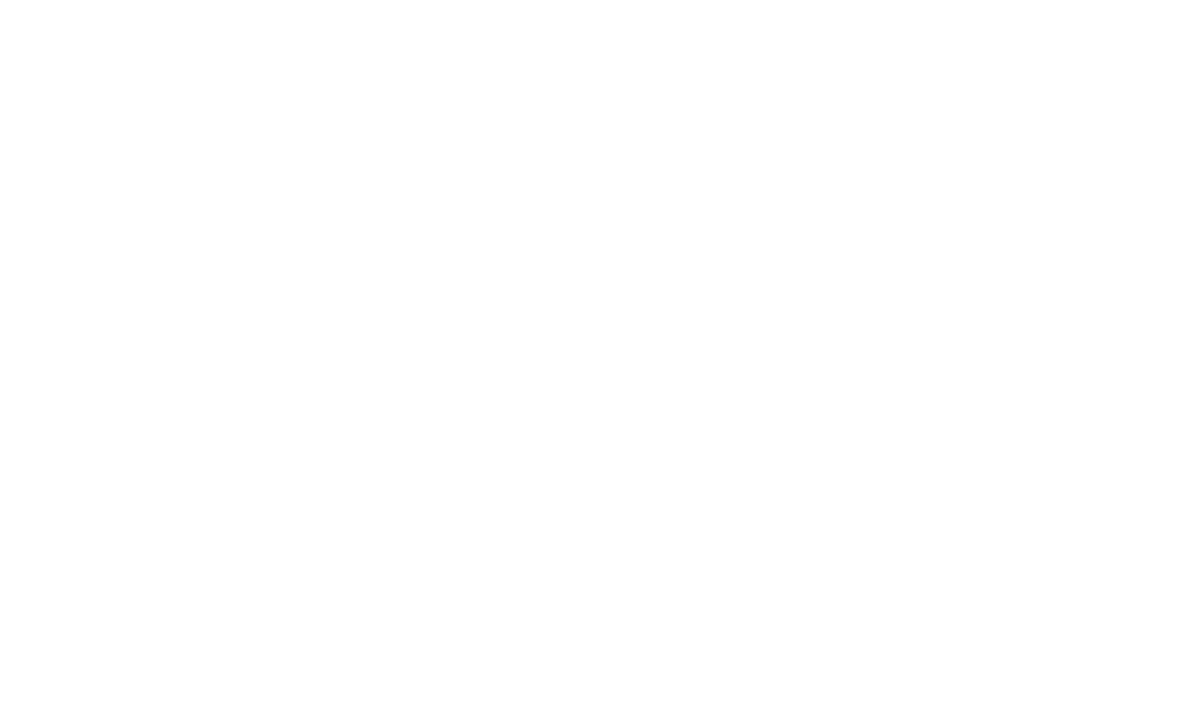 IES 2025